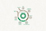 End of Life Clarity - Green Loop Global
