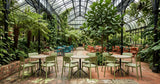 Huxley Chair in-situ scene - Green Loop Global