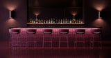 Leo in-situ scene - Green Loop Global